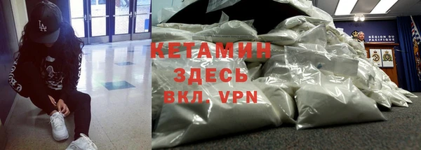 сатива Волоколамск