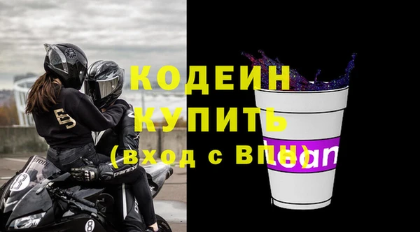 амф Вяземский
