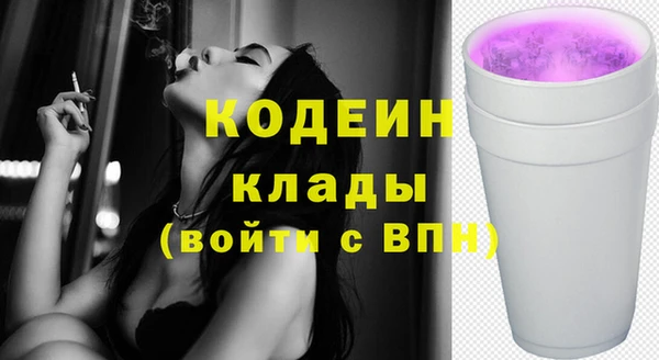 амф Вяземский