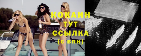 сатива Волоколамск