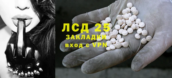сатива Волоколамск