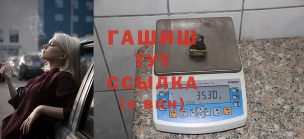 сатива Волоколамск