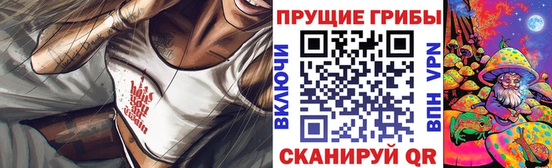 Псилоцибиновые грибы прущие грибы  Купить закладки  Слюдянка 